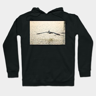 Come Fly with Me Hoodie